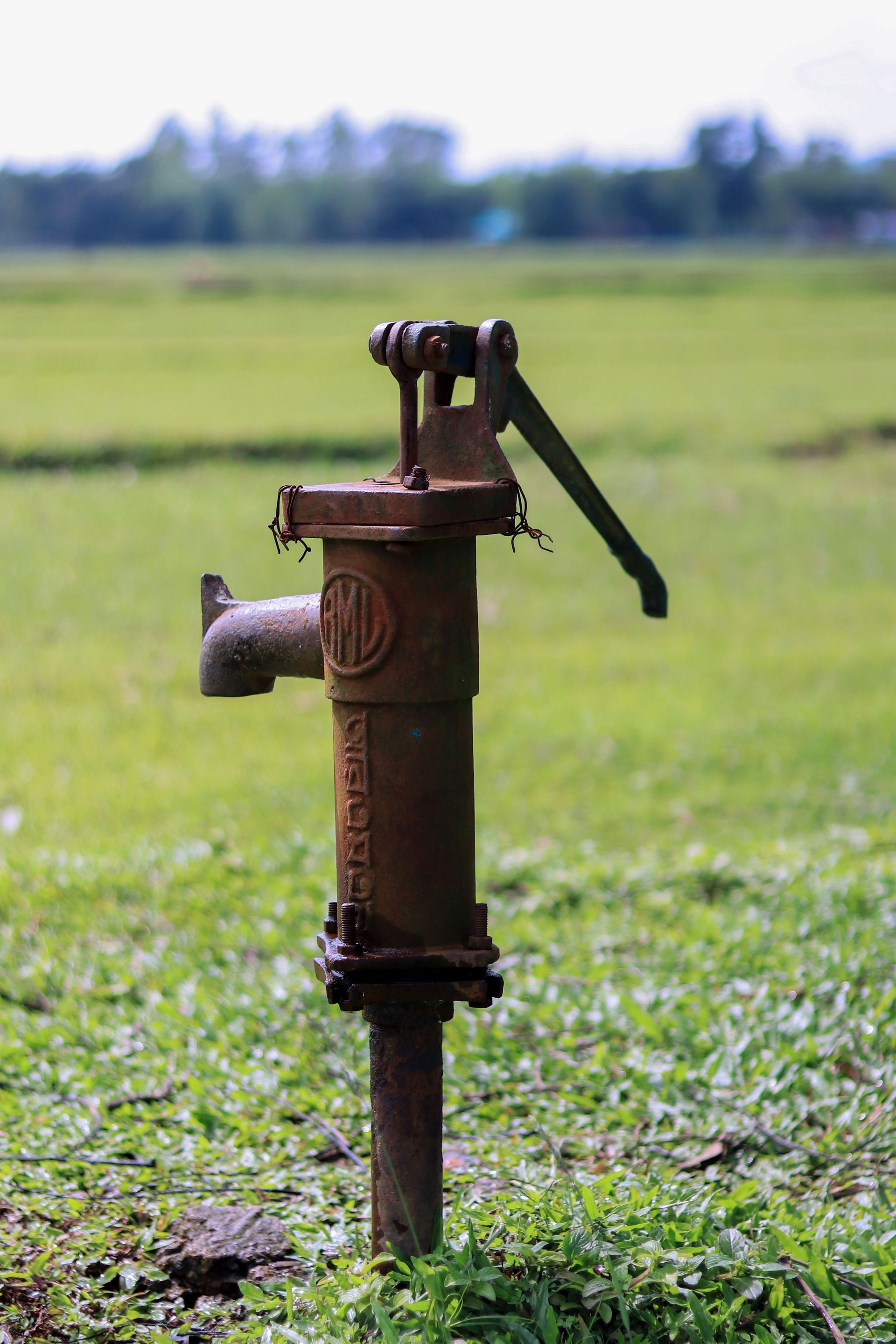 Rustic hand water pump surrounded by lush green field, representing traditional irrigation.